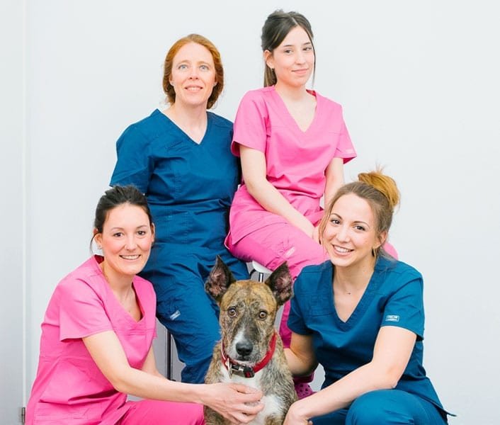 nosotras-equipo-veterinario